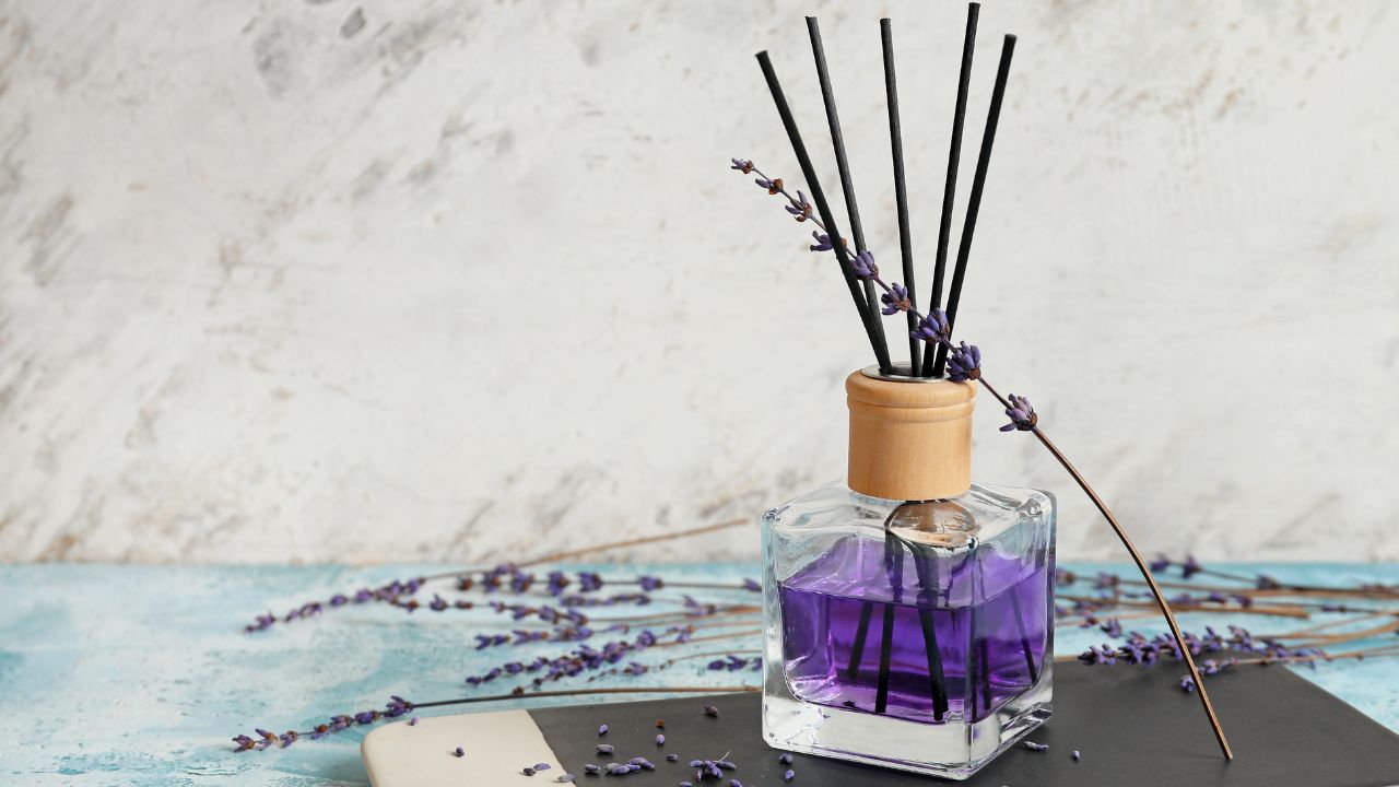 Everything You Need to Know About Reed Diffusers